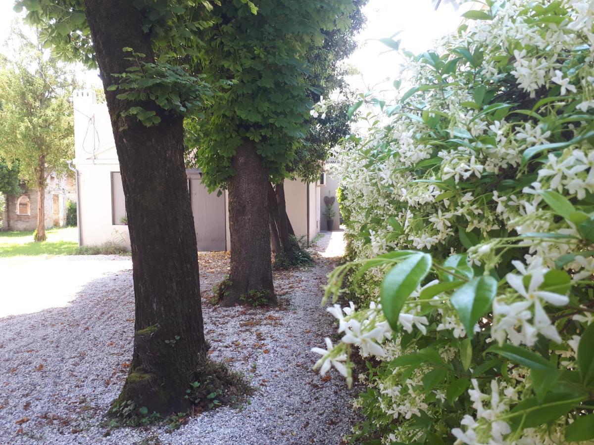 Villa Fiorentino ปาโดวา ภายนอก รูปภาพ