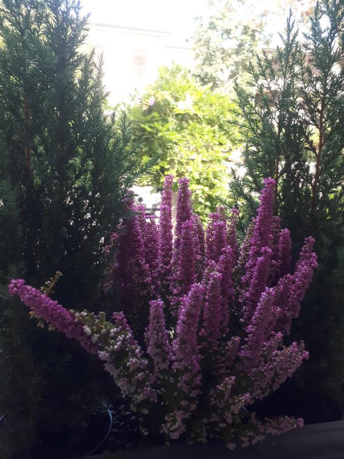 Villa Fiorentino ปาโดวา ภายนอก รูปภาพ